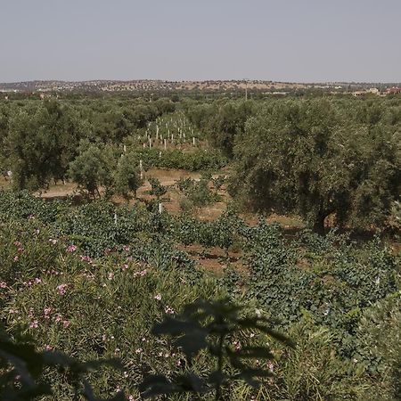 Ryad De Vignes " Le Val D'Argan " Ounara Ngoại thất bức ảnh