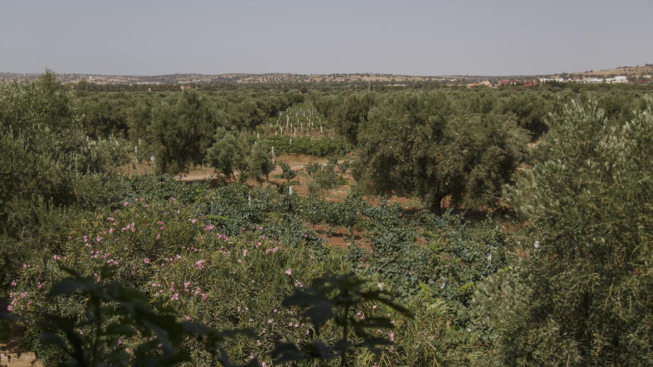 Ryad De Vignes " Le Val D'Argan " Ounara Ngoại thất bức ảnh